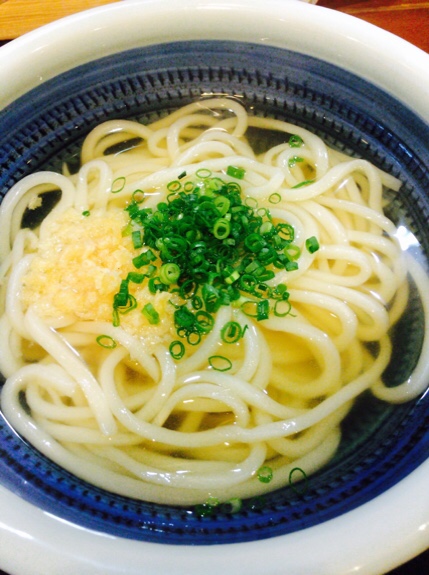 やまふじ かけうどん