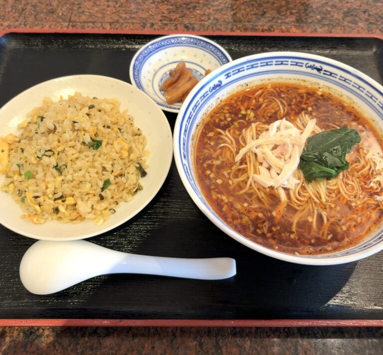 天龍　麺セット